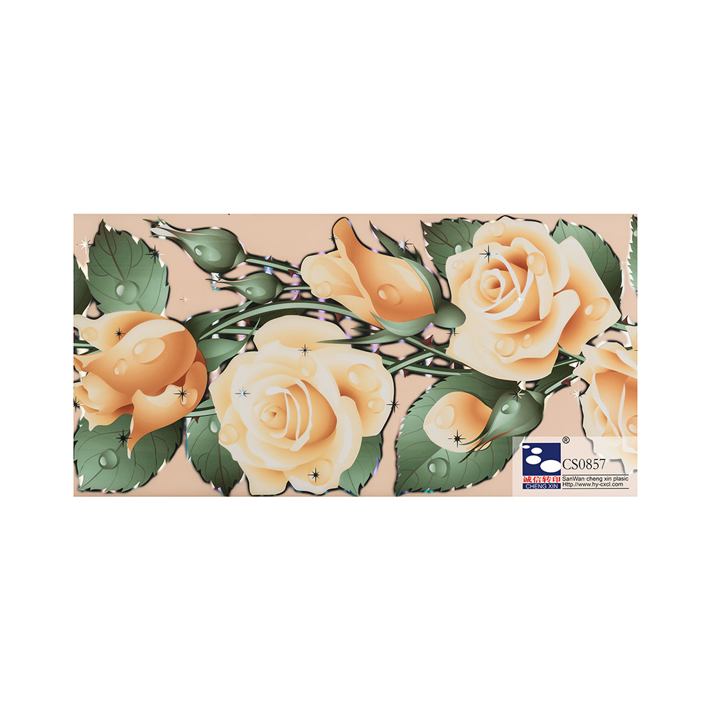 Vente en gros 2021 nouveau design pvc couleur impression plafond bronzant feuille composite pvc film CS0857